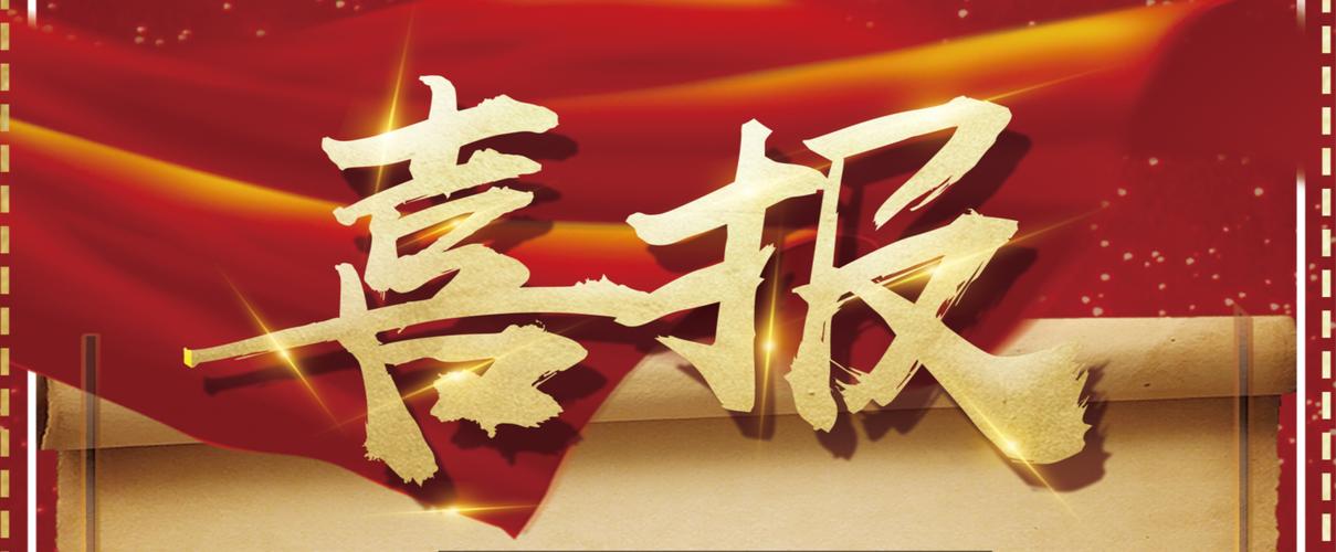 蜘蛛池出租费用揭秘